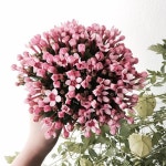 클래스문의 - janejoung310 카카오톡   #bloomingswan... 블루밍스완  #블루밍스완플라워 #일상 #꽃배달 #꽃다발 #블… | Florist