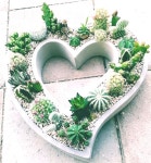 프리미엄아울렛로 8 이천롯데프리미엄... - #경기 #마장면 #이천롯데프리미엄 #이천시 #프리미엄아울렛로 | Tableware, Spoon rest, Violet