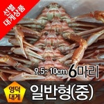 [생활] 영덕대게 정보 - 2020