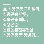 농촌진흥청, 쌍별귀뚜라미 단백질 성분 농축 소재화 기술 개발 | 단백질, 재미있는 음식, 기술