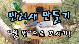 집 고치는 홍카페 / 노래하는 김전무에 있는 창홍 김님의 핀 - 2023 | 카페, 집