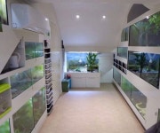 Turtle terrariums | 파충류