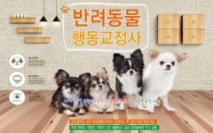 반려동물 행동교정사  [반려동물 행동 교정사란] 반려동물의 행동 습관과 의사 표현에 대한 전문 지식을 바탕으로, 반려동물의 문제 행동의 교정... 