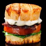 Seafood appetizers에 관한 상위 25개 이상의 Pinterest 아이디어 | 게 요리법 및 Ceviche