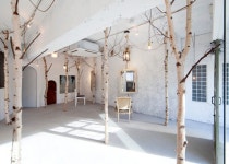 자작나무 인테리어! : 네이버 포스트(이미지 포함) | 인테리어, 자작나무, 집 장식