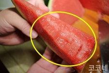 수박장인이 알려주는 수박 더 맛있게 먹는 노하우 | 과일, 가지