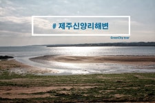 제주도 신양리 해변... 바라만본것인가...입수  #제주도여행사 #그린시티 #사진 #풍경 #맞팔 #소통 #like4like #여행 #여행사진 | 해변, 여행