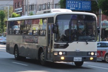 Bus에 있는 8478 K님의 핀