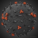 00HIV11 | 과학