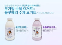 데마시안 쇼핑몰 상단이미지에 있는 형문 백님의 핀(이미지 포함) | 요거트, 블루베리, 단백질