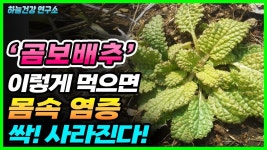 곰보배추 이렇게 먹으면 몸속 염증 싹! 사라진다! (만성염증에 좋은 음식) - 2023 | 자연 건강, 건강, 약초