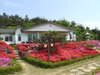 철쭉과 펜션 | 리조트
