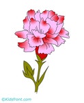 Pin on 아이디어