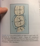 Dental에 있는 민영 차님의 핀
