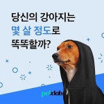 미안하네요ㅠㅠ @petxlab - 당신의 강아지는 몇 살 정도의 지능을 가졌을까? 5살? 10살? . #펫슬랩 앱에서 반려인끼리만... 