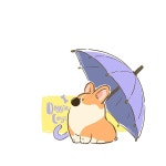 「doggiecorgi(도기코기)」おしゃれまとめの人気アイデア｜Pinterest｜greengrin