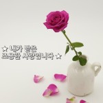 ★ 내가 받은 조용한 사랑입니다 ★  나는 언제나 사랑을 받고 있습니다 아침에 상쾌한 바람과 한낮의 밝은 햇살과  어두운 밤에 찾아오는 곤한... 