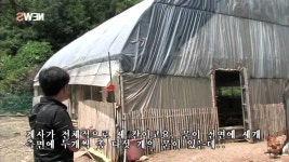 산들농장 알 도둑이야기 - YouTube | 사진, 자연