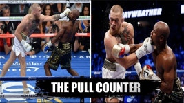 Boxers Signature Punches & Moves! - YouTube | 복싱