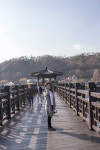경북 안동 여행 가볼만한곳 월영교 | 여행