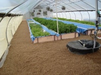 Greenhouse Aquaponics System | Check out my personal Aquaponics project at www.davaoaquaponics.com(이미지 포함) | 농장, 채소 정원