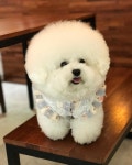 사랑스런♡Lovely에 있는 핀