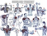 Shoulders(이미지 포함) | 운동, 복근, 웨이트 트레이닝