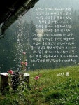 poet by 세탁소 - 2020 | 세탁소