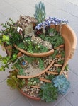 Stunning Fairy Garden Miniatures Project Ideas 59(이미지 포함) | 다육 식물, 미니 정원, 화분 키우기