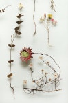 Flower constructions | 압화, 꽃장식