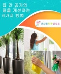 집 안 공기의 질을 개선하는 6가지 방법 — 건강을 위한 발걸음 | 대체의학, 집, 환경
