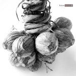 Making food photos for fun에 있는 Robert Gibson Z님의 핀 | 식물 드로잉, 그림, 드로잉