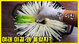 주말에 이거 먹느라 외식은 꿈도 안꿔요🎶 너무 맛있어 자꾸 돈이 모입니다~ - 2023 | 반찬 요리법, 간단한 요리법, 건강한 요리법