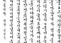 t115A w1 신혜정 01