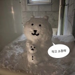 인생의가성비에 있는 4월님의 핀 | 귀여운 강아지 밈, 귀여운 고양이 사진, 귀여운 아기 고양이