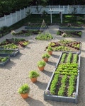 In The Garden With: Susan Cohan of Miss Rumphius Rules | 정원 가꾸기, 정원 아이디어, 조경