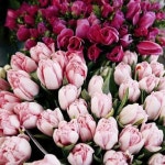 Flower&Table setting에 있는 Yuri Lee님의 핀