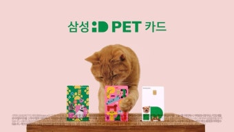아니야, 내 iD는 보리그냥 고양이가 아니야, 내 iD는 치즈우리 모두에게 이름과 iD가 있듯,가깝고 소중한 털뭉치들도 이... | 치즈, 보리, 카드