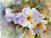 Акварель | Aquarelle | 수채화