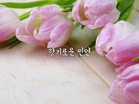 향기로운 인연 | 아름다운 꽃, 봄 꽃, 꽃