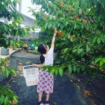 [New] The 10 Best Fashion Today (with Pictures) -  체리농장...#daily #체리 #농장 #노동자 #딸 #체험 #힐링 #평택 #데이트... 