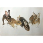 색연필 1 (colored pencil)에 있는 핀