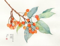 Pin by 바울라 on 수업 in 2023 | Watercolor flower art, Watercolor art, Diy art painting