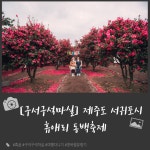 > ■주소:제주특별자치도 서귀포시 남원읍 신례동로 256■ 기간:2019.11.15.20.02.02■ 관람료:대인:13,000원/단체:11,000원/도민, 장애우... 