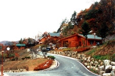 계명산자연휴양림 | 사진