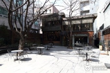 Sinsadong Garosu-gil Road (신사동 가로수길) (With images) | Korea tourism, Tourism, Road