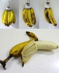 알아두면 평생 도움이 될 살림 보관법 16가지 | Food, Cooking, Health fitness:__cat__
