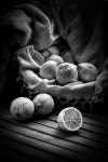 Pin by 반딧불이 on 소묘,드로잉,크로키, | Nature photography tips, Photography store, Photography hashtags