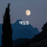 주부상식 - ◈ 세탁소가 필요 ... : 카카오스토리 | 운동화