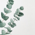 [초록초록한날, 그림이되다]  로만슈말 발색하다 너무 맘에... Bee paper aquabee cotton 100% 300g roman szmal art waterco… | 수채화 강좌... 
